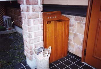 52